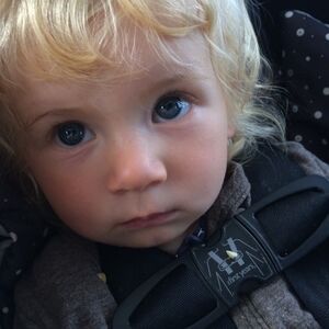 Meet your Posher, Beebee